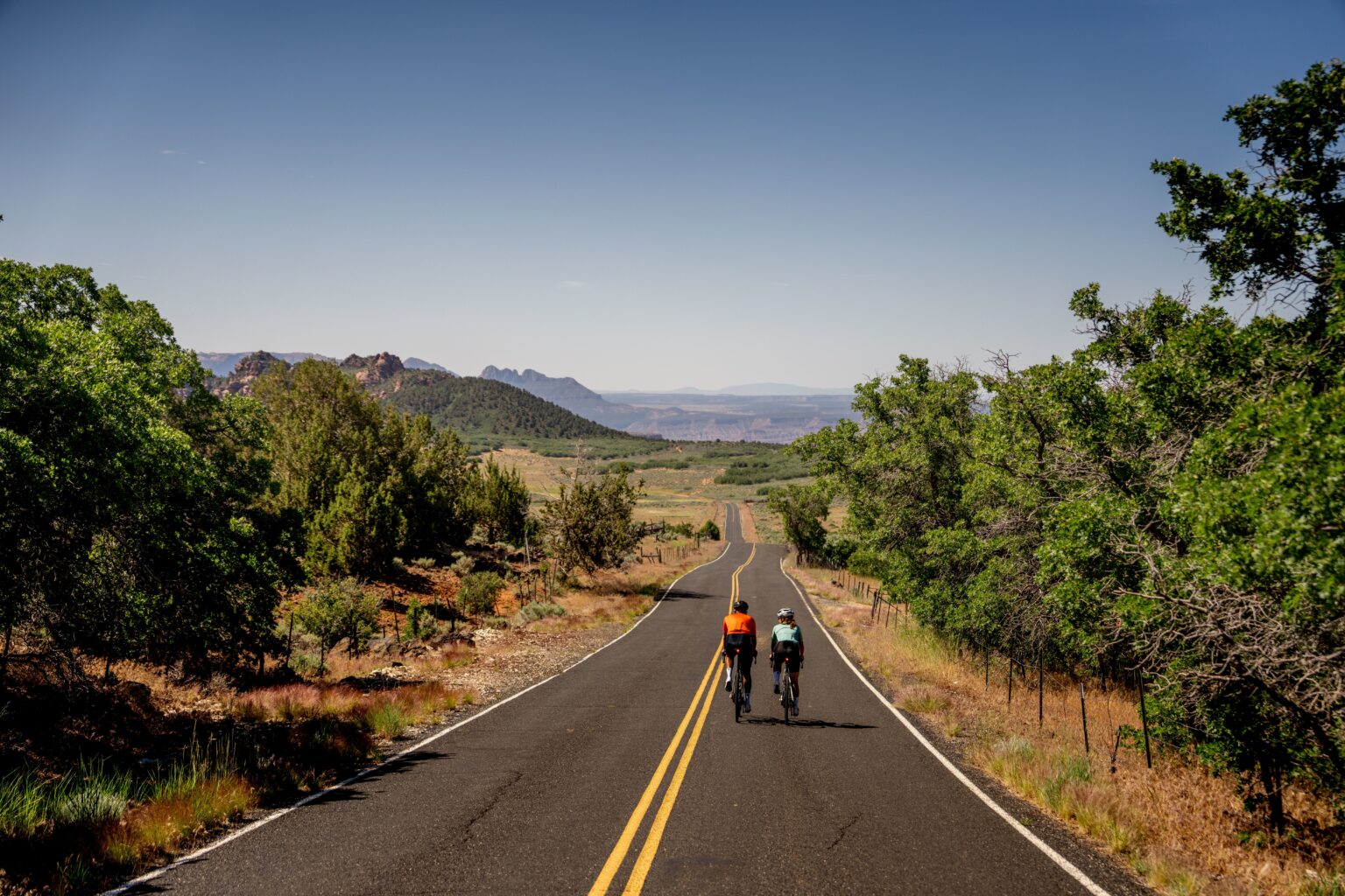 2026 Domane Plus ALR Lifestyle 09 1536x1024